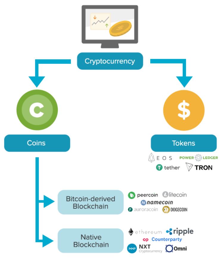 Types of cryptocurrency flow chart