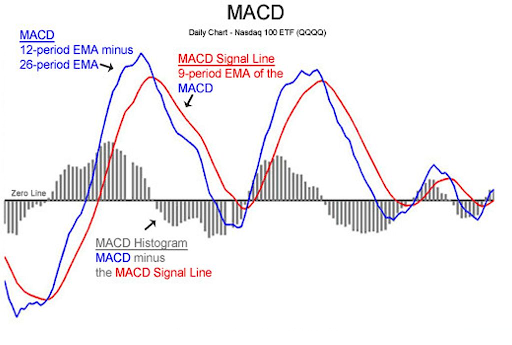 An MACD Indicator Showing the Three Main Components