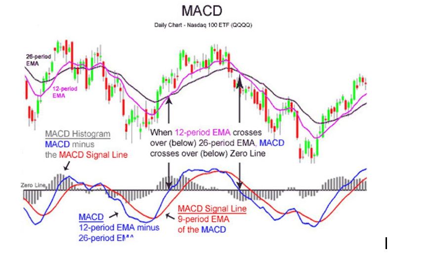 The MACD Moving Average Crossovers Potential signals