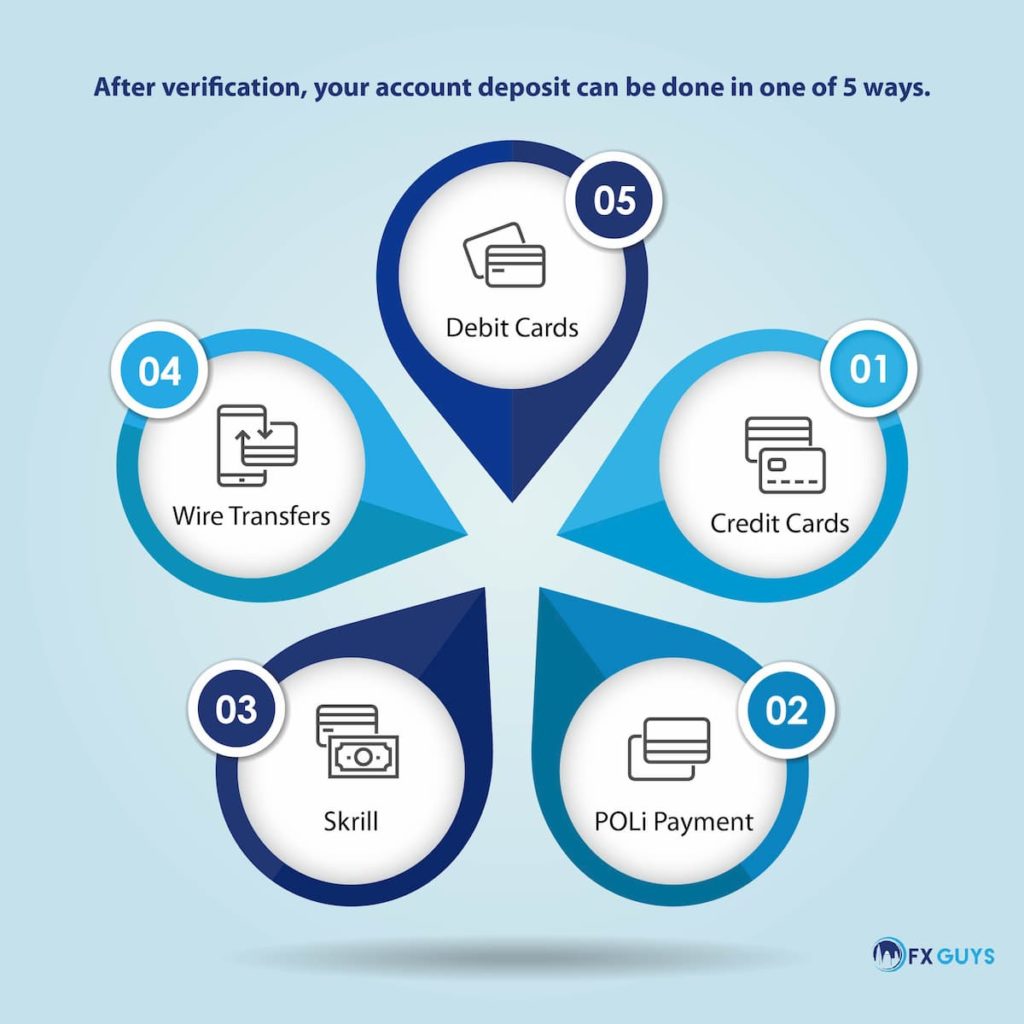 Blueberry Markets Payments Infographic