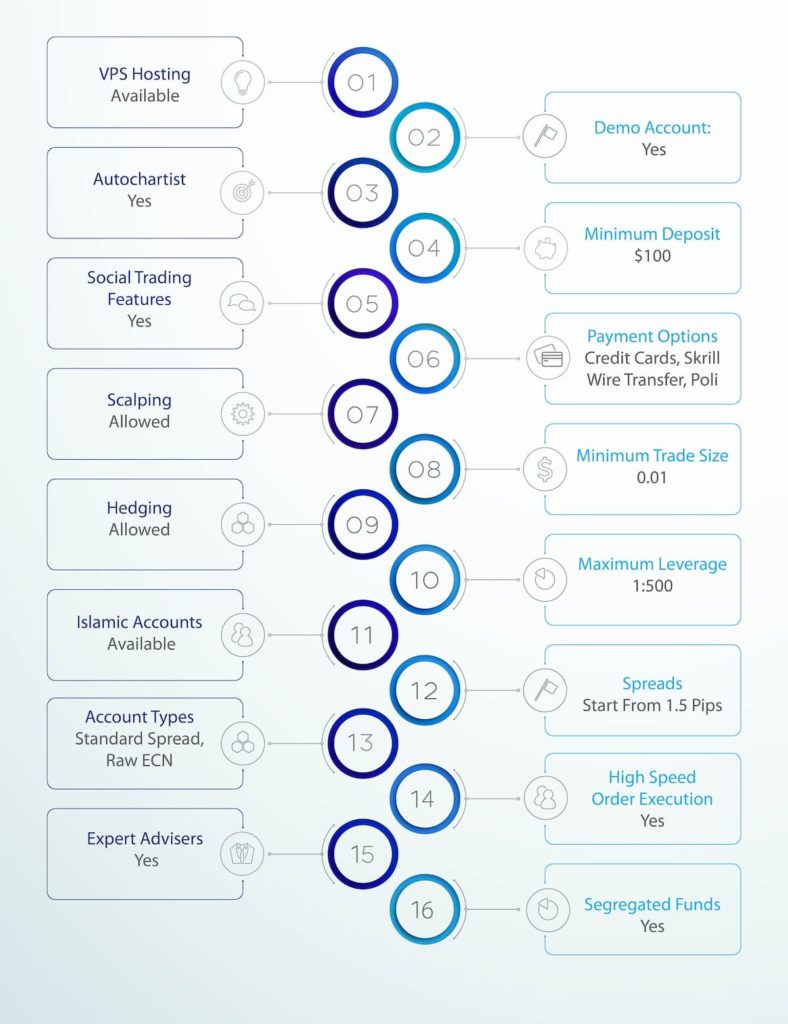 Blueberry Markets Services Infographic