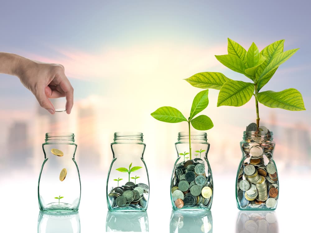 Investment Products symbolized by growing plants in jars of money