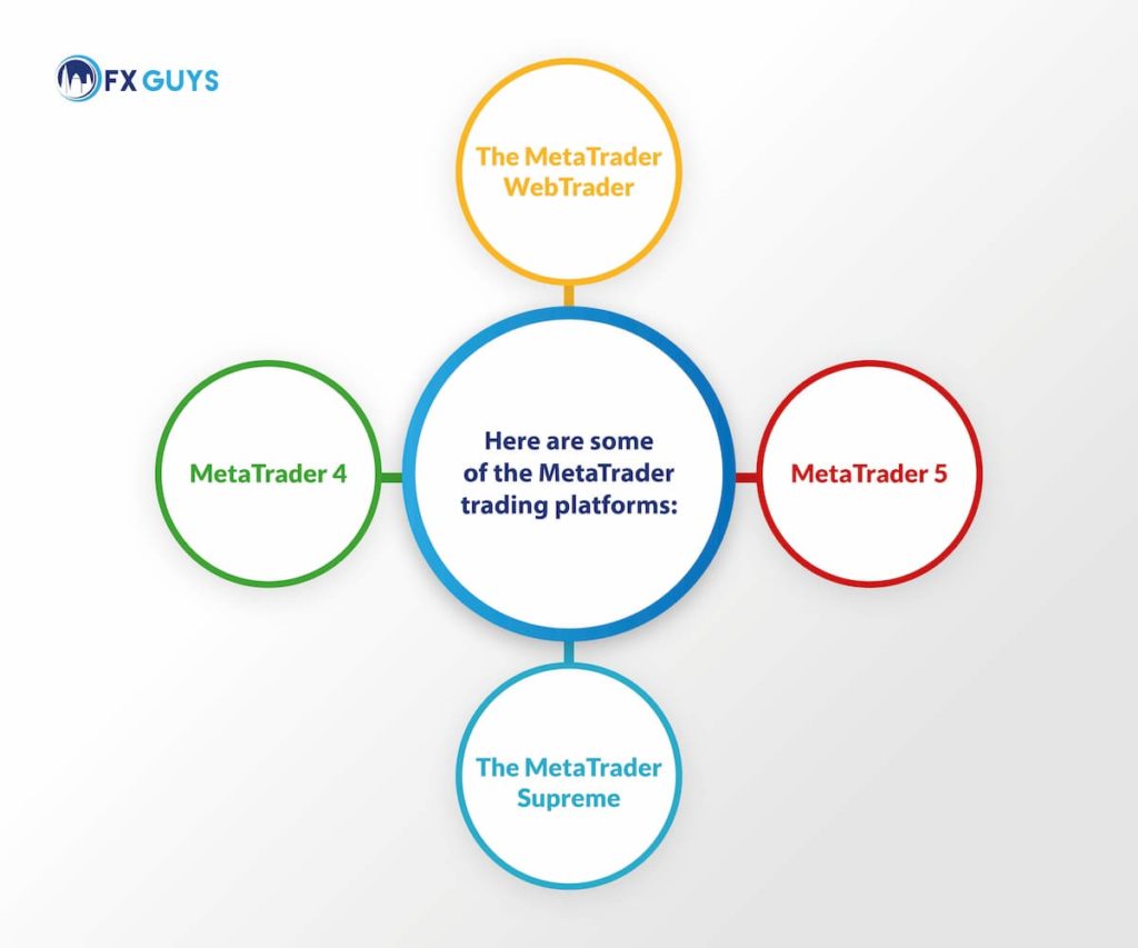 Metatrader Platforms - Infographic