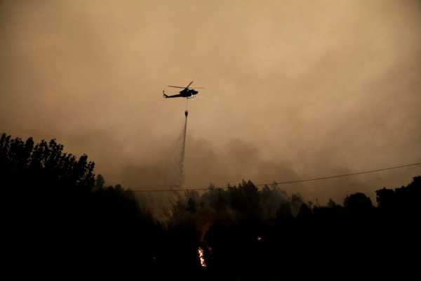 At least 23 dead as dozens of wildfires torch forests in Chile