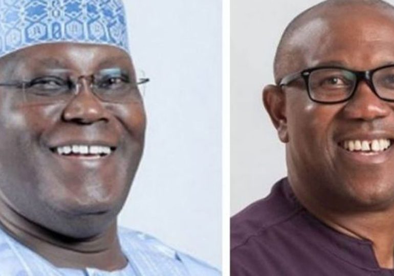 Appeal Court grants Atiku, Obi leave to inspect election materials