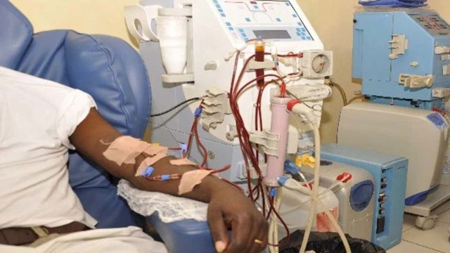 World Kidney Day: 45,000 Nigerians die yearly due to kidney failure