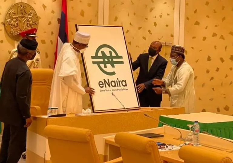 A look at E-Naira's acceptance, impact