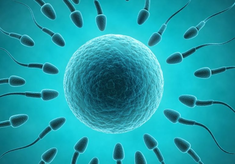 Alarming decrease in sperm quality in Nigeria, South Africa