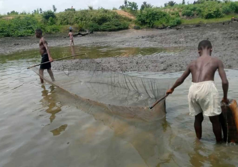 Ogoni youths threaten to shut down HYPREP's activities over exclusion