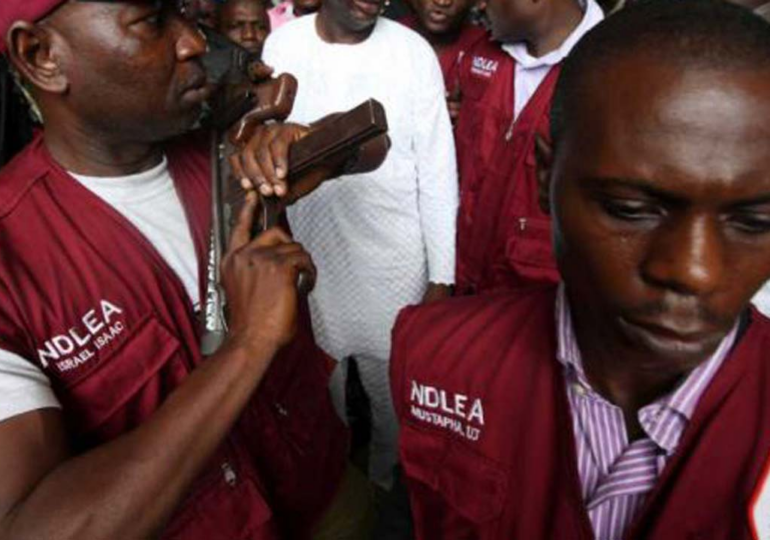 NDLEA seizes 2.05 tons of hard drugs, arrests 223 suspects in C’River