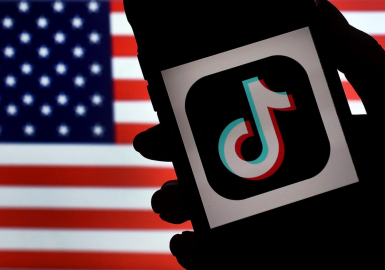 US House easily passes TikTok ban bill as eyes turn to Senate