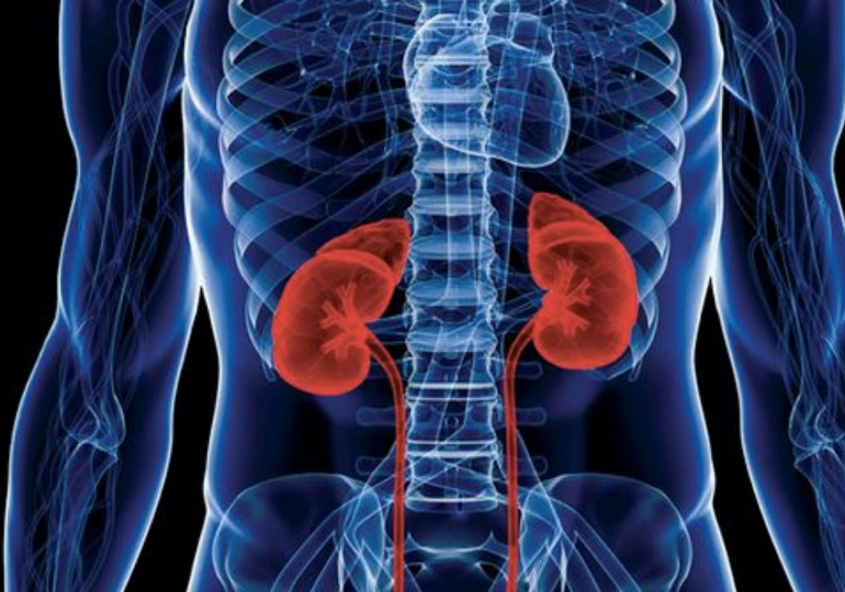Boy tells court how he was paid N880,000 for his kidney