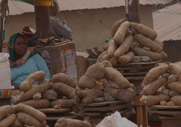 How yam, Nigerians’ major staple, became luxury item for average homes