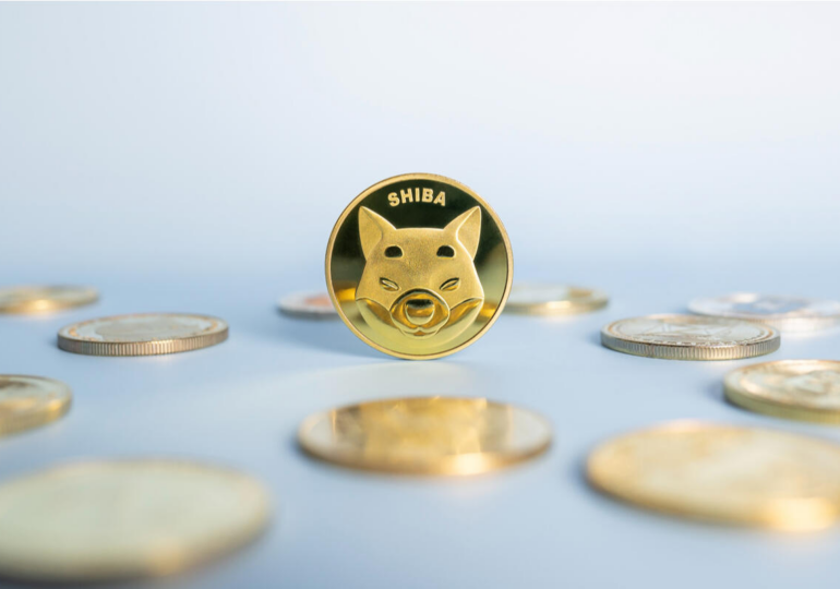 Shiba Inu Price Surges as PayPal announces SHIB Token Integration in USA