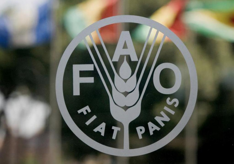 FAO, others strategise on agric policy monitoring, impact to boost economy