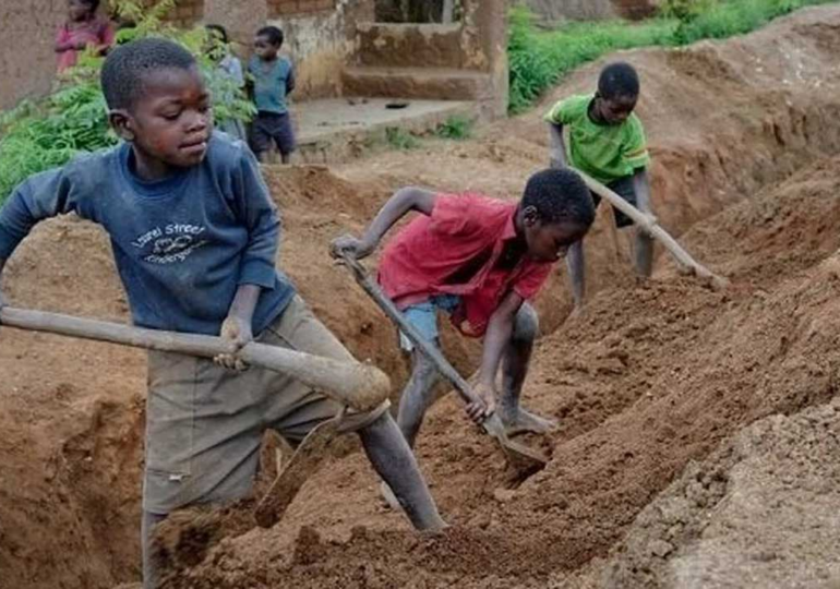 Stakeholders campaign against exploitation, child labour