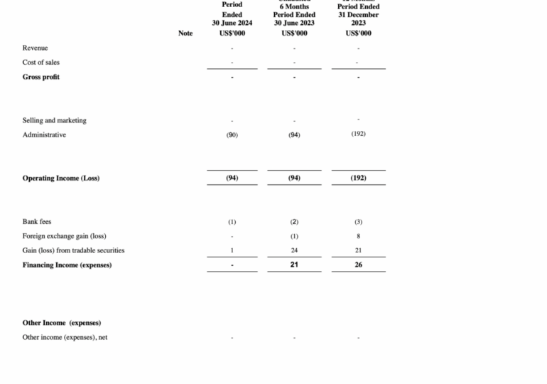 TechFinancials books no financial gain in H1 2024, continues to look for opportunities