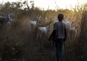 Izon youths deny role in Edo migrant farming attacks